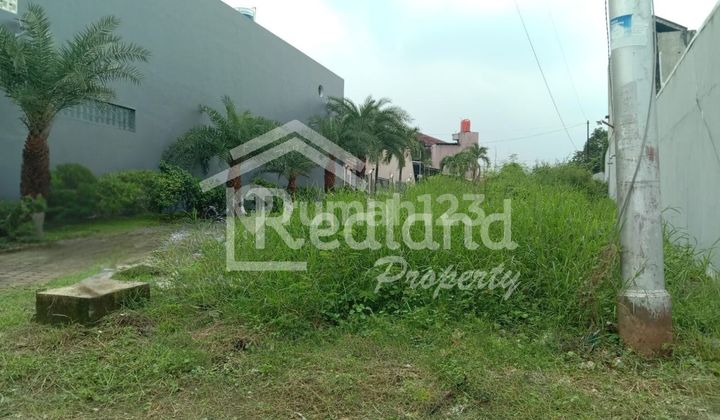 Land in Singotoro, Semarang (Tt Vn 8565) 1