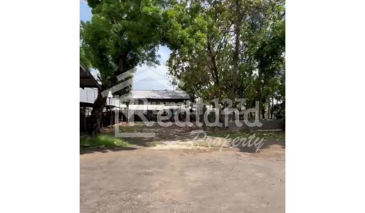 Warehouse in the Mangkang area, Semarang (Vn Si 8203) 2