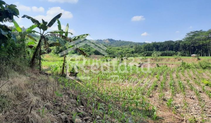 Tanah di Sekaran , Gunung Pati ( Vn 8054 ) 2