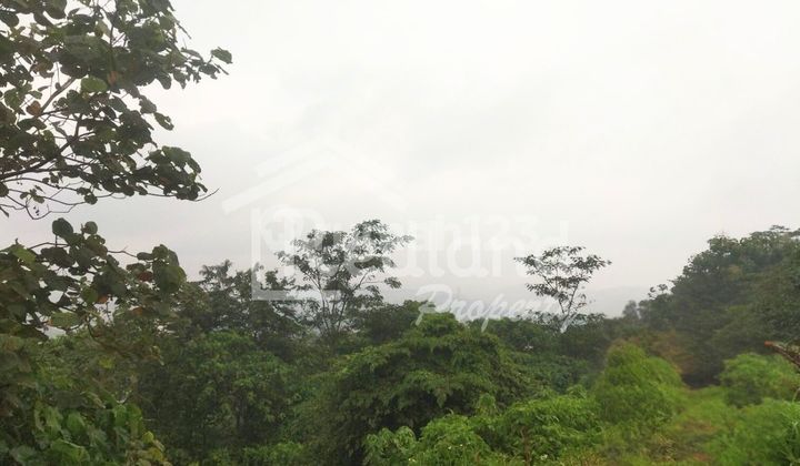 Tanah di Beji , Ungaran ( Vn 8512) 2