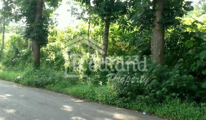 Tanah di Jl Pramuka Pudak Payung Semarang ( Vn 8044 ) 2