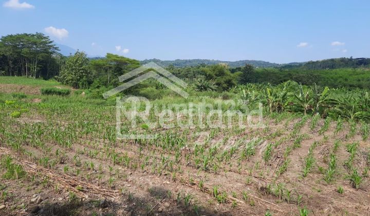 Tanah di Sekaran , Gunung Pati ( Vn 8054 ) 1