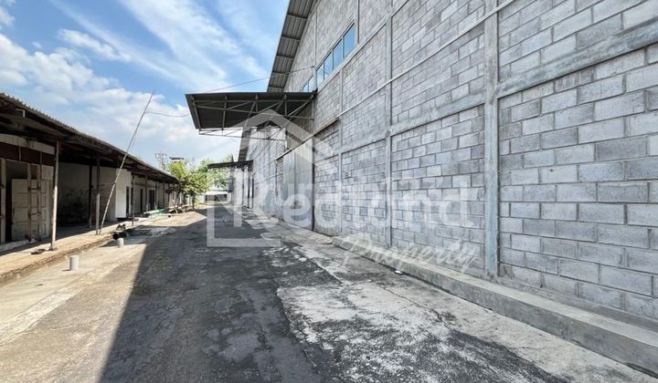 Warehouse in the Mangkang area, Semarang (Vn Si 8202) 2