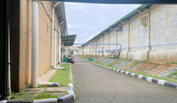 For Rent Factory Warehouse Near Byd Subang Smartpolitan Close to Toll Road Cheap For Rent Factory Warehouse Near Byd Subang Smartpolitan Close to Toll Road Cheap