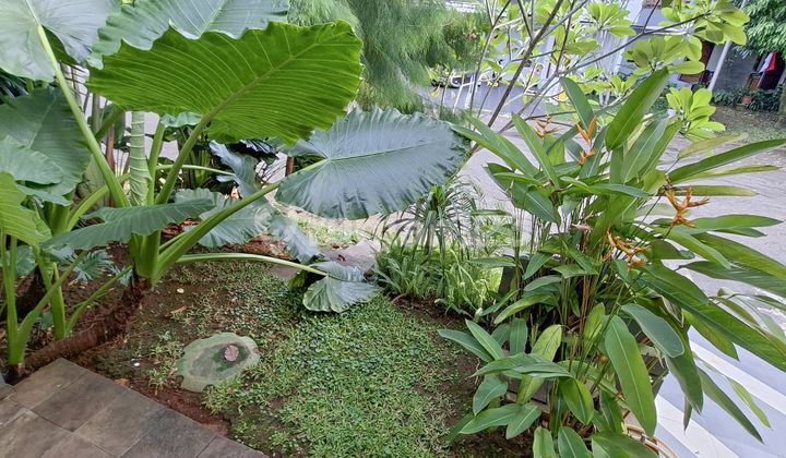 For Sale Minimalist House. Sector 9. Bintaro 2