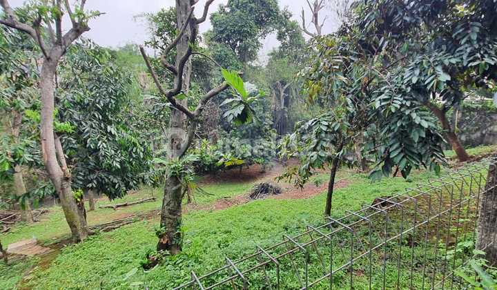 Dijual Tanah Cocok Buat Usaha. 2