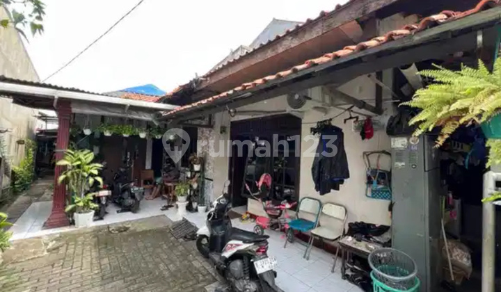 Farah Dengan 4rumah Di Dalamnya. 2