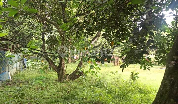 Tanah di Cibening Setu Bekasi Timur Tanah di Cibening Setu Bekasi Timur