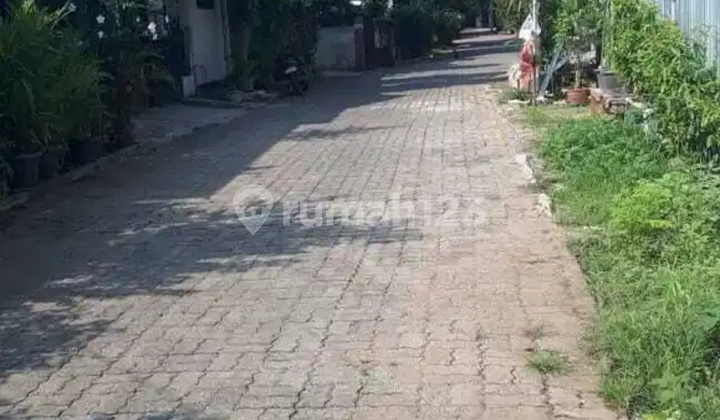 Affordable House with Spacious Land and Cool Garden View 2