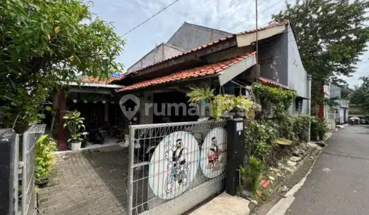 Farah Dengan 4rumah Di Dalamnya.