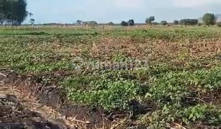 Productive Land 604ha in West Nusa Tenggara