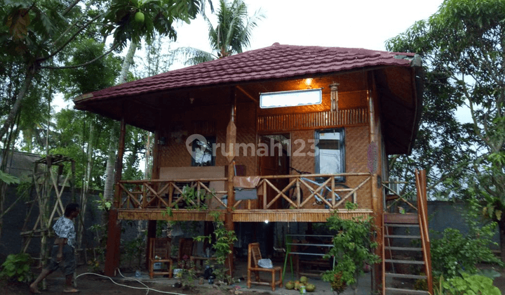 Pangandaran Pantai Timur Hitung Tanah Cocok Untuk Hotel Guess House 1