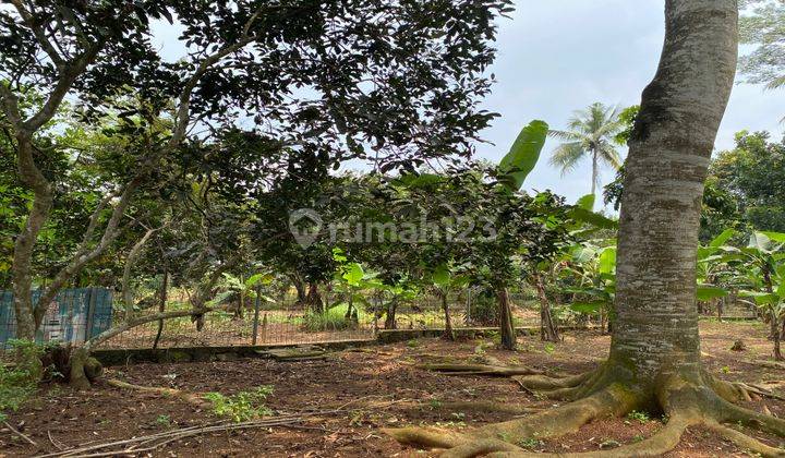 Kalijati Purwadadi Subang Tanah Industri Gudang Jual Cepat Hitung Tanah 