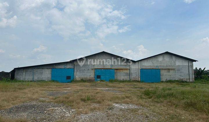 Lampung Tengah Listas Sumatera Bandar Jaya Hitung Tanah Jual Cepat Bisa Jadi Perumahan Ruko Ruko 1