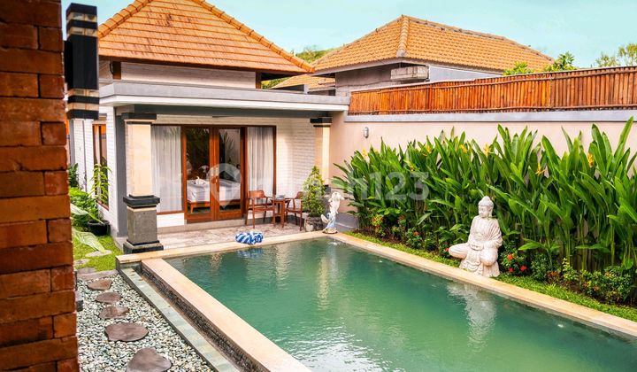 Stunning Villa In Canggu 2