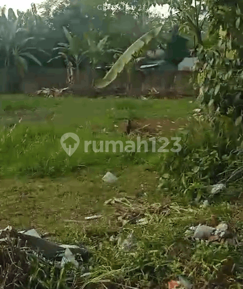 Tanah Bogor Barat Cifor Situgede         