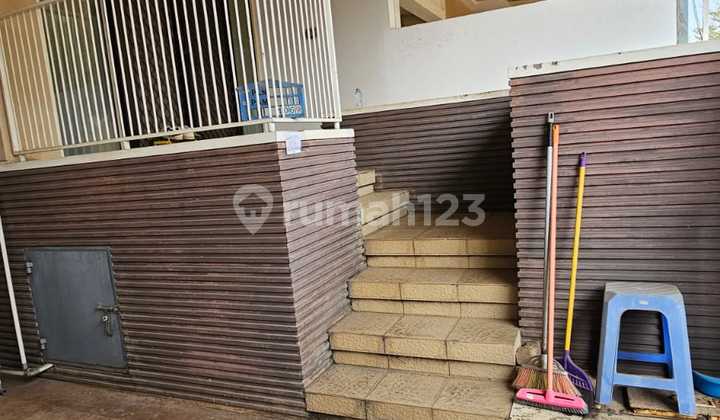 For sale Longbeach pik house 6x12.5 with SHM (certificate)