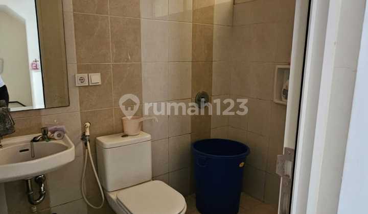 For sale Longbeach pik house 6x12.5 with SHM (certificate) 2