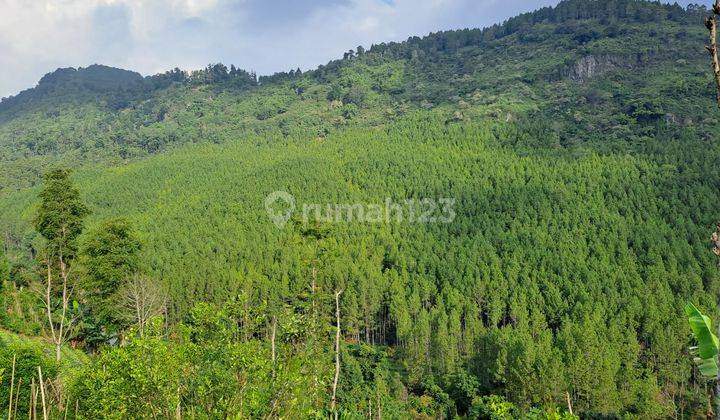 Beautifull View.. Tanah Lahan Kavling Dijual Area Maribaya Lembang Near The Lodge Maribaya 1