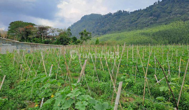 Beautifull View.. Tanah Lahan Kavling Dijual Area Maribaya Lembang Near The Lodge Maribaya 4