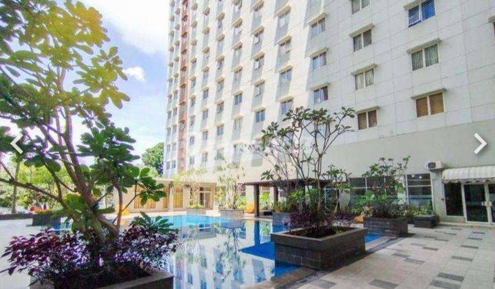 Disewa Apartement Pinewood Jatinangor Bagus  1