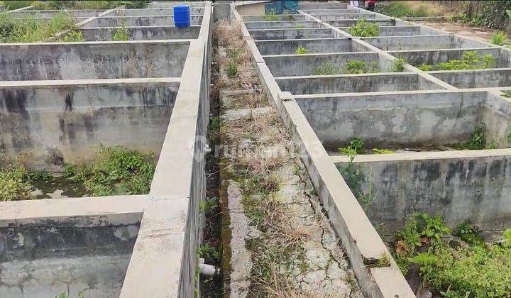 Dijual Tanah Cihideung Sersan Bajuri 1