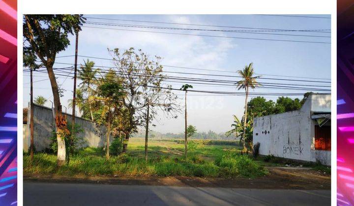 Tanah Murah Pinggir Jalan Jenggawah. Cocok Untuk Gudang pabrik 1