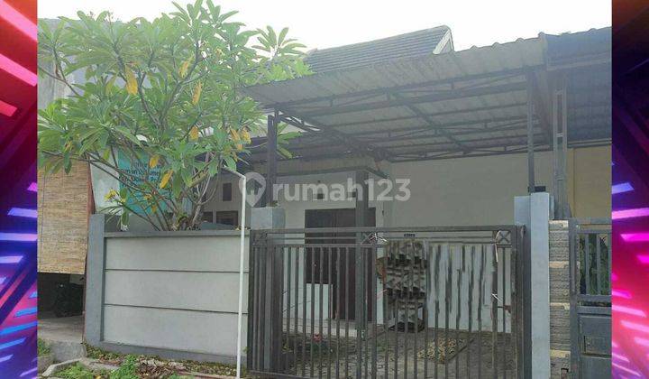 Sewa Rumah Murah Daerah Kebonsari Jember Dekat Kampus Unmuh 1