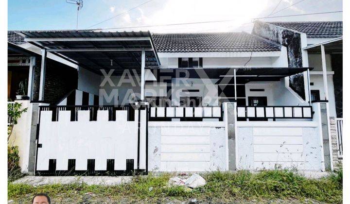 Rumah Sewa Siap Huni Daerah Sumbersari Cocok Buat Hunian 1