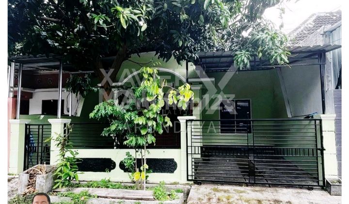 Rumah Sewa Semi Perabotan Siap Huni Daerah Patrang 1