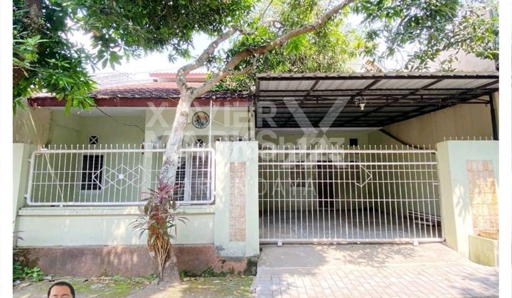 Two-story house located in Sumbersari, near the campus.