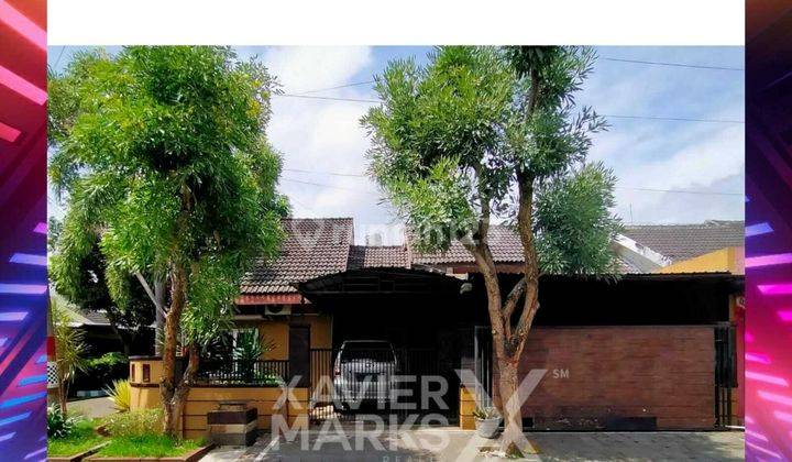 Rumah Minimalis Cantik Siap Huni di Tengah Kota Jember 1