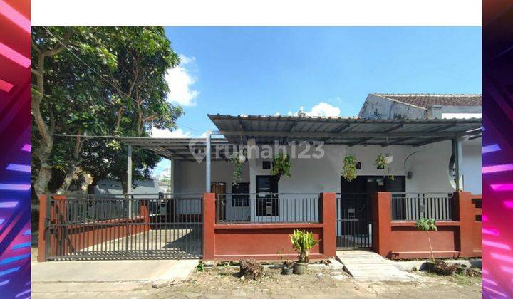 Sewa Rumah Murah Tengah Kota Jember. Siap Huni 1