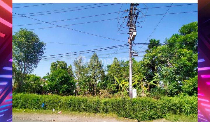 Tanah Pinggir Jalan Besar Daerah Dekat Bandara Jember 1