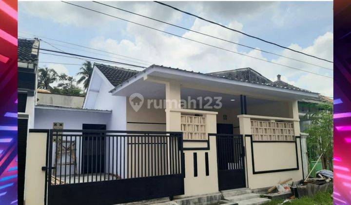 Rumah Murah Dan Luas Tengah Kota Jember Baru Renovasi Daerah Tegal Besar 1