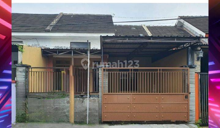 Kontrakan Rumah Murah Minimalis Siap Huni Jember 1