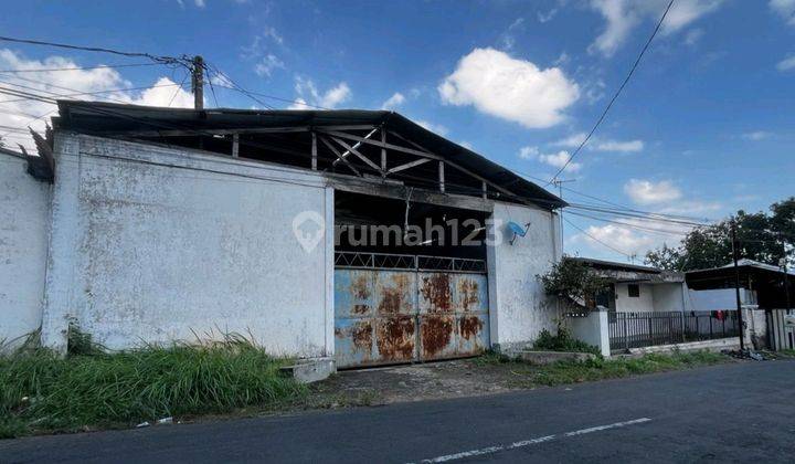 Sewa Gudang Dan Rumah Bonus Tanah Luas Daerah Jember Kota 1
