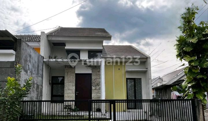 Kontrakan Rumah Murah Siap Huni Tengah Kota Jember 1