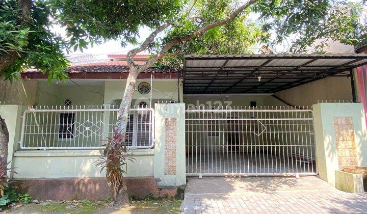 Sewa Rumah 4 Kamar Xekat Kampus Poltek Dan Unej. Cocok Untuk Kantor Atau Hunian 1