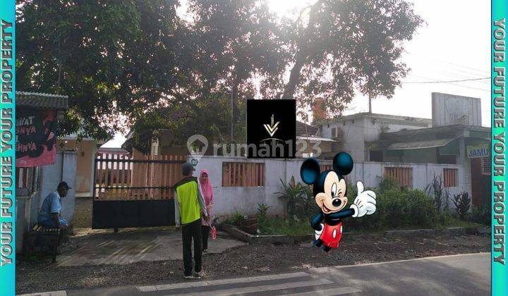 Rumah Cantik Pinggir Jalan Dekat Rs Paru Paru Jember 1