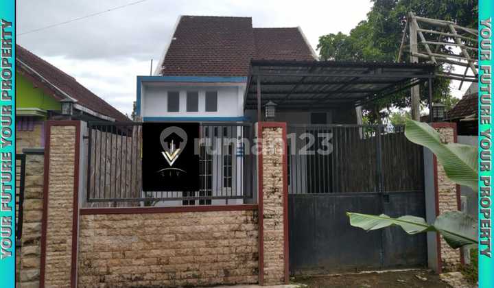 Kontrakan Minimalis Semi Furnish Tengah Kota 1