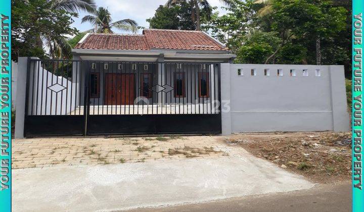 Kontrakan Cantik Siap Huni Dekat Rs Soebandy Jember 1