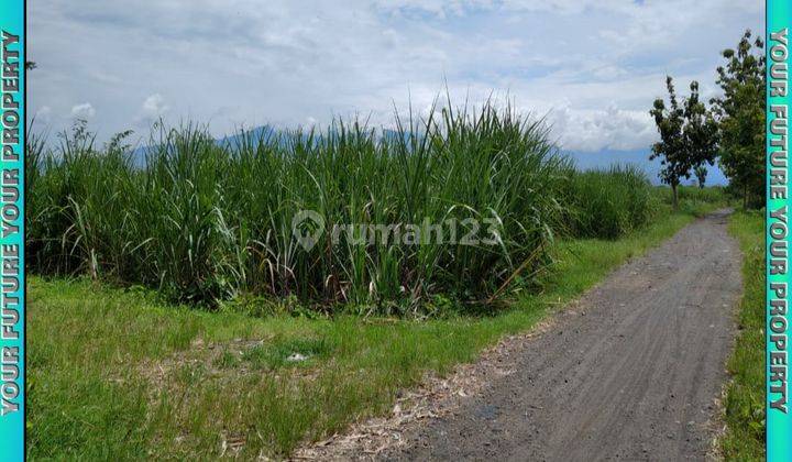 Tanah Murah Luas Cocok Untuk Perumahan 1