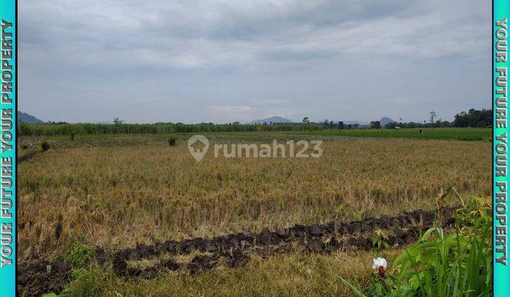 Tanah Luas Murah Siap Bangun 1