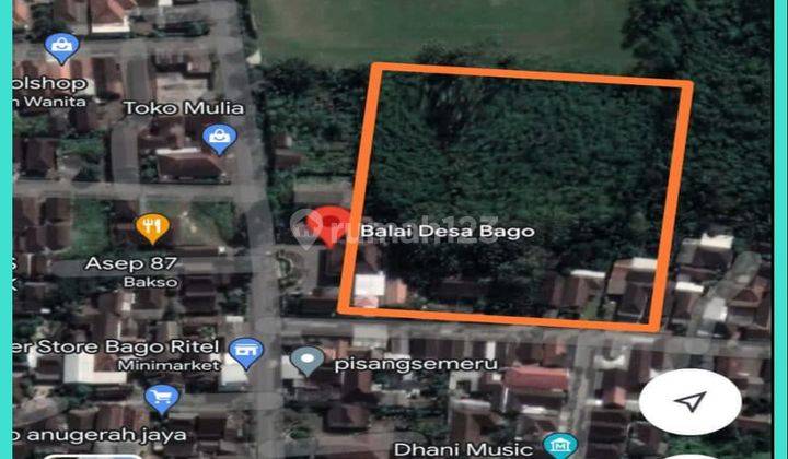 Tanah Bekas Rumah Walet Gratis Pohon Jati 1