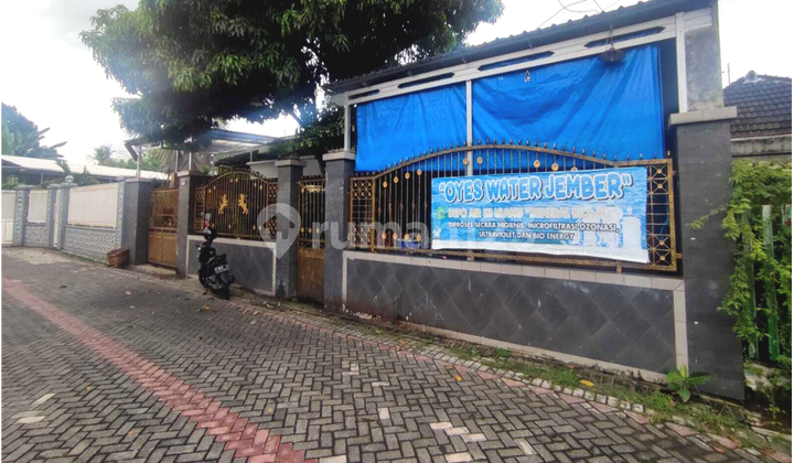 Dijual Rumah Mewah + Kos Kosan Putri Dekat Lippo Mall dan Rs Bina Sehat Jember 1