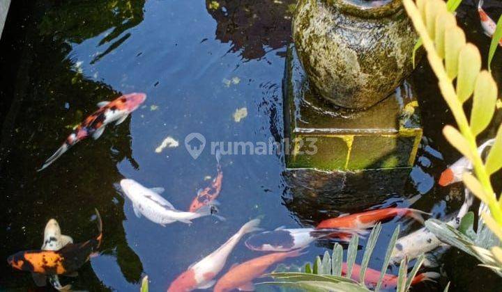 Rumah Kebun Nan Asri Hanya 5 Menit Ke Bsd 1