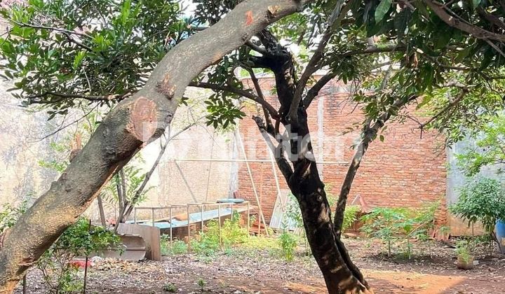 Dijual Cepat Tanah 140m di Kampung Rawa Sapi Tambun Selatan Bekasi Dijual Cepat Tanah 140m di Kampung Rawa Sapi Tambun Selatan Bekasi