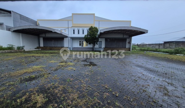 Gudang Lb 2000 M² di Pakisaji Malang Axjj86 Gudang Lb 2000 M² di Pakisaji Malang Axjj86