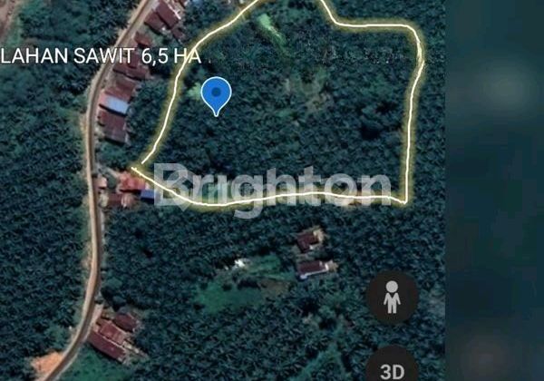 Palm Oil Plantation Land in Meliau, West Kalimantan Axjj38